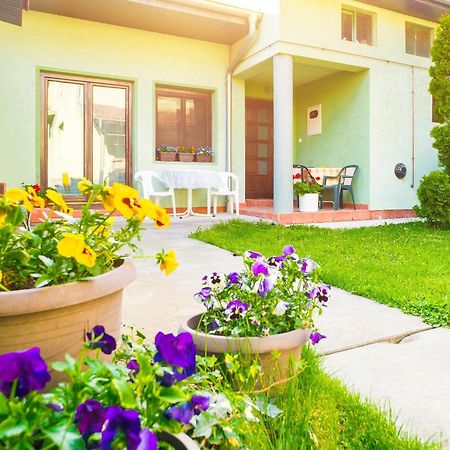 Apartmani Slavica Jagodina Εξωτερικό φωτογραφία